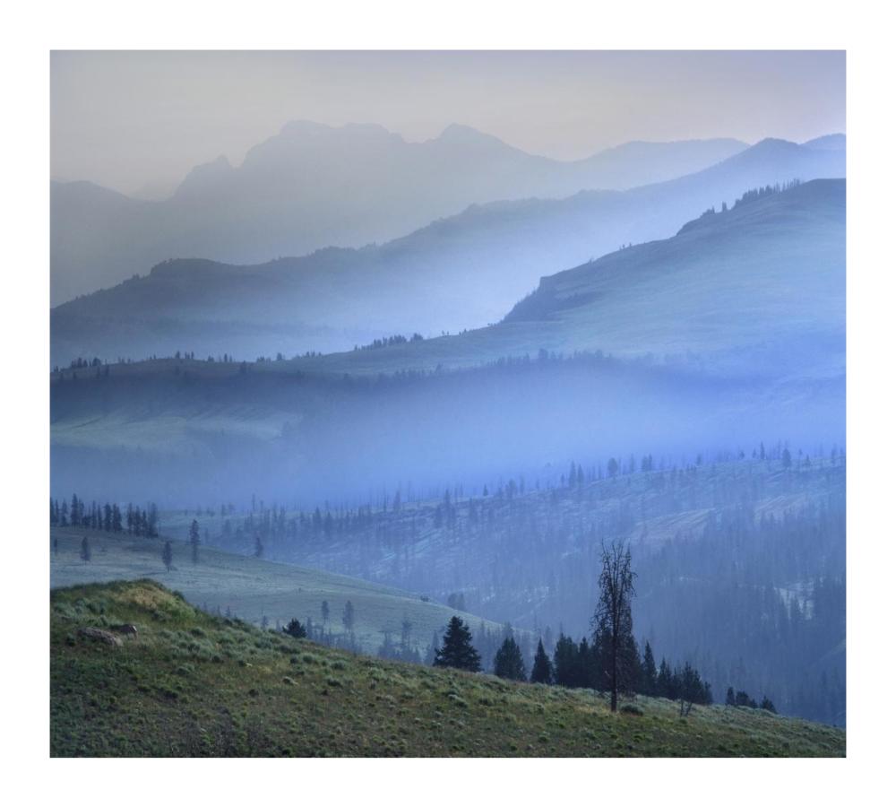 Mist over Absaroka Range, Yellowstone National Park, Wyoming-Paper Art-18"x16.24"