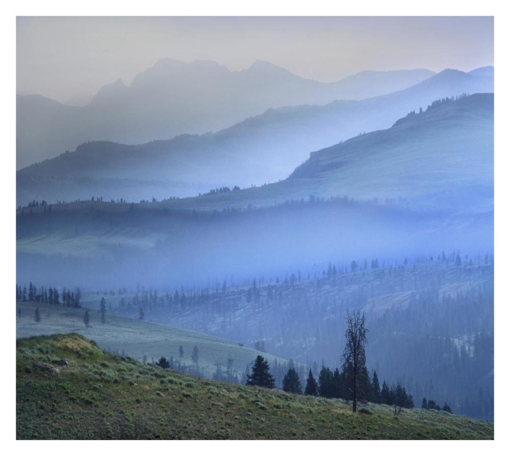 Mist over Absaroka Range, Yellowstone National Park, Wyoming-Paper Art-32"x28.7"