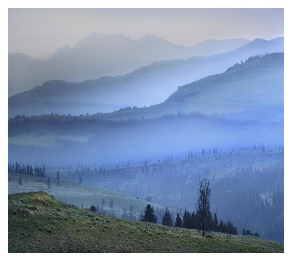 Mist over Absaroka Range, Yellowstone National Park, Wyoming-Paper Art-38"x34.04"