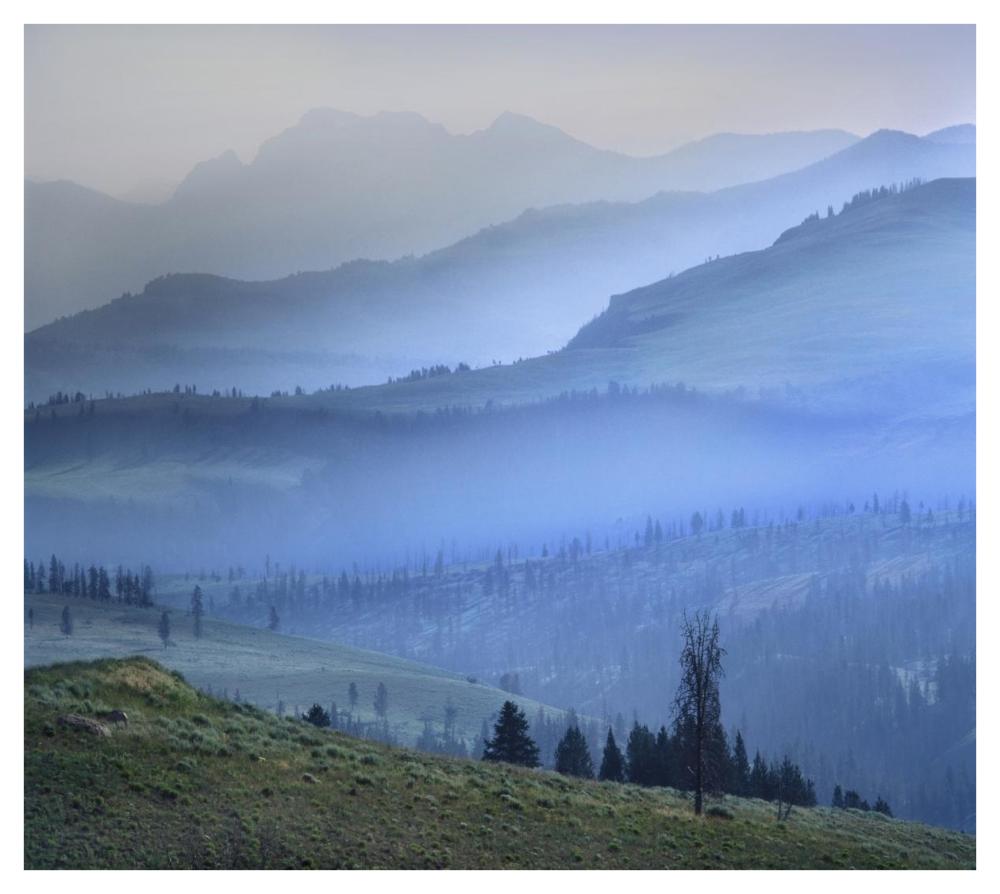 Mist over Absaroka Range, Yellowstone National Park, Wyoming-Paper Art-42"x37.6"