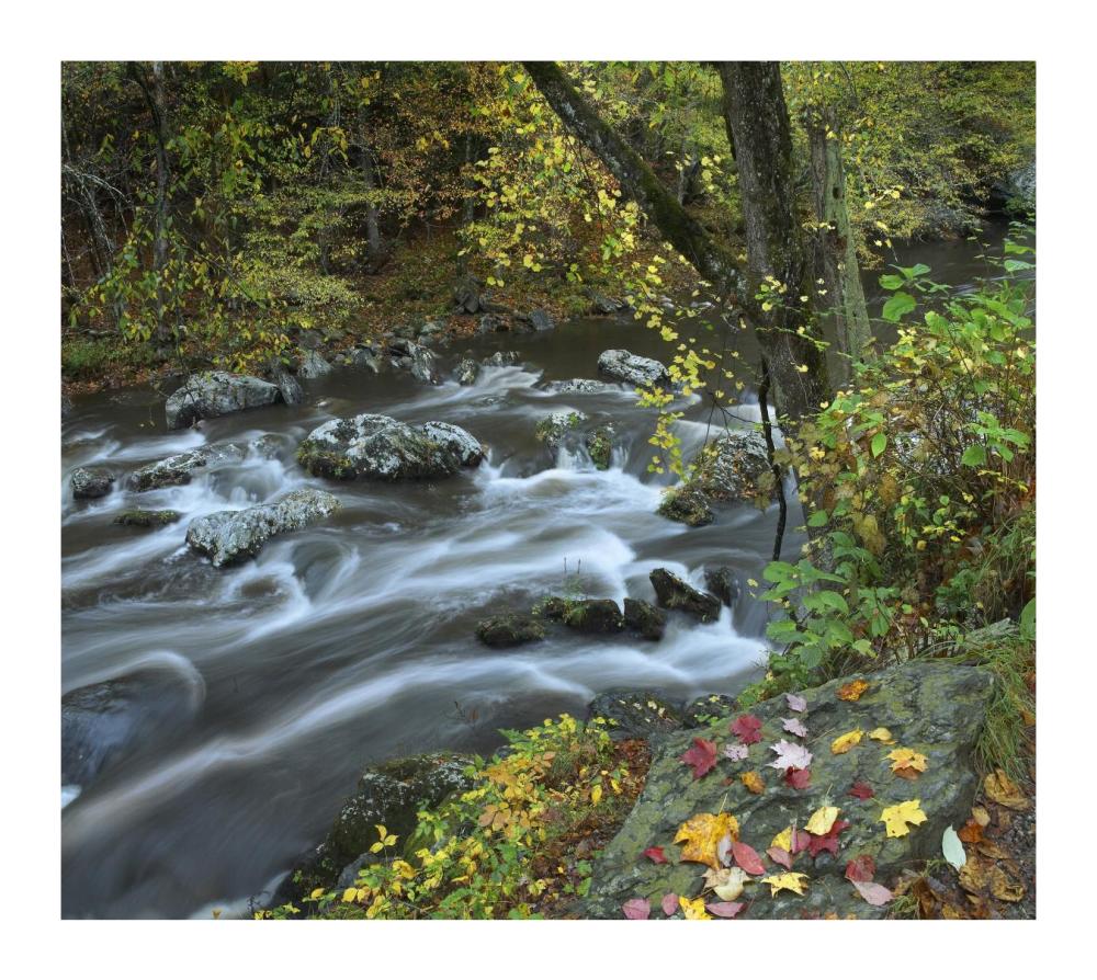 Little River, Great Smoky Mountains National Park, Tennessee-Paper Art-18"x16.08"