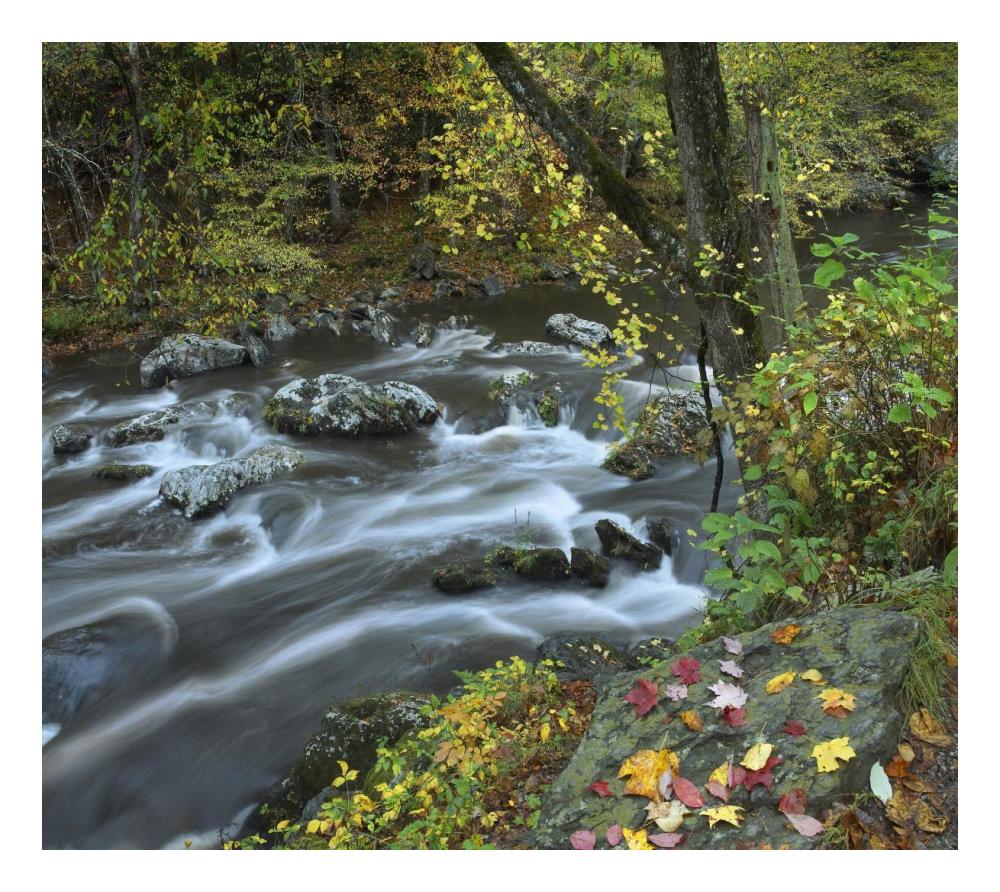 Little River, Great Smoky Mountains National Park, Tennessee-Paper Art-24"x21.36"
