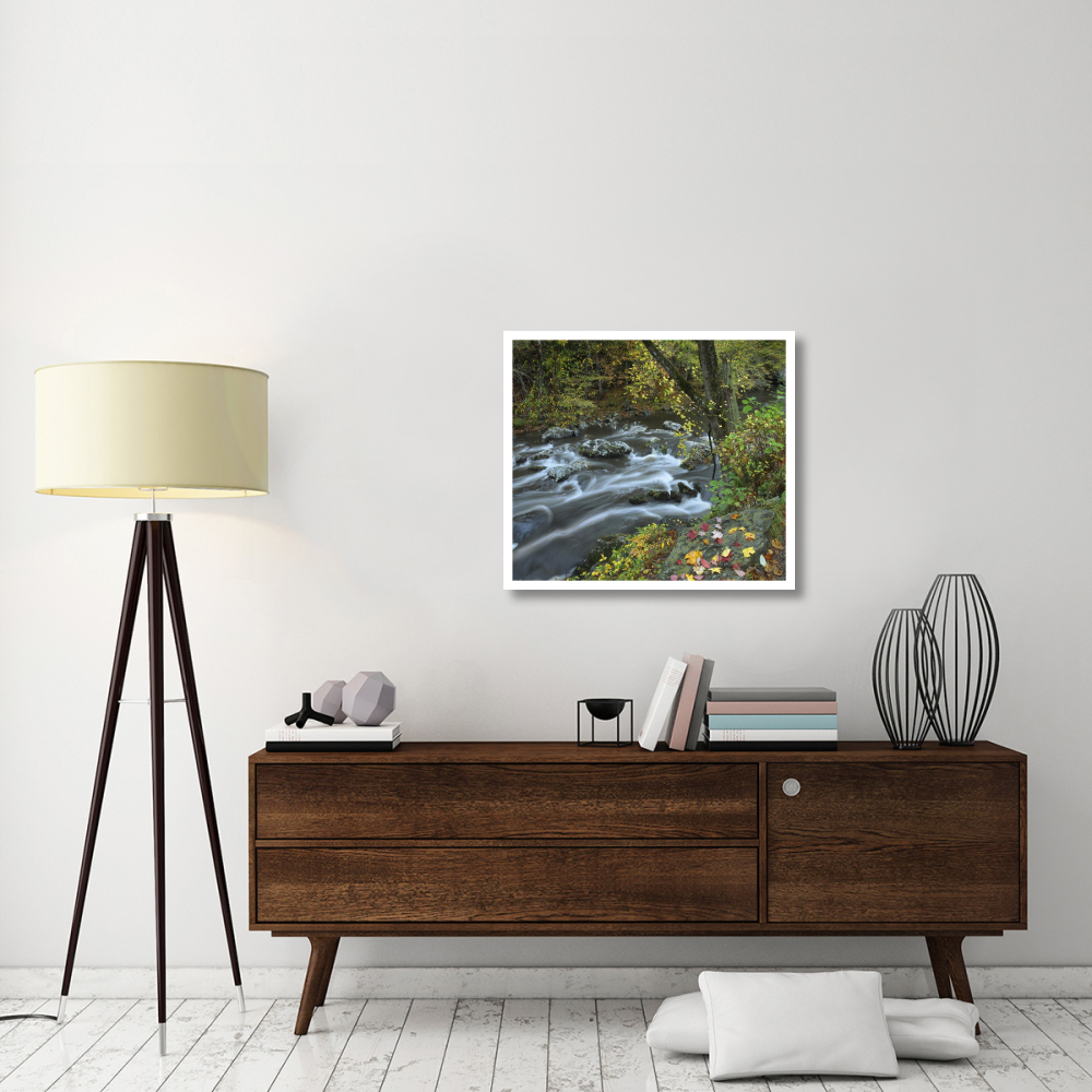 Little River, Great Smoky Mountains National Park, Tennessee-Paper Art-32&quotx28.4"