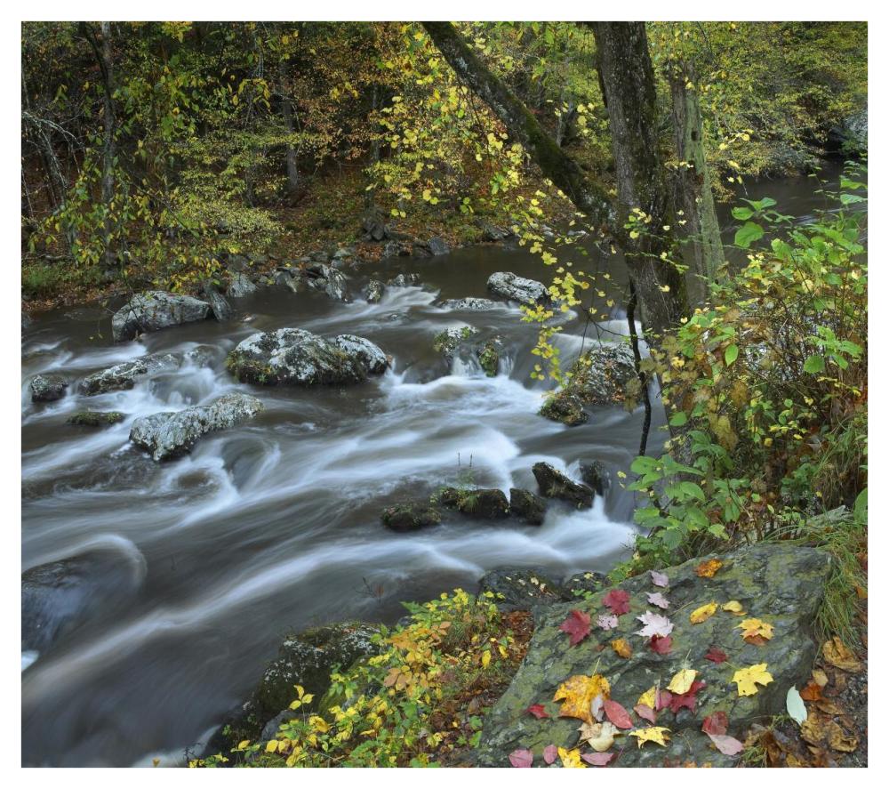 Little River, Great Smoky Mountains National Park, Tennessee-Paper Art-42"x37.2"