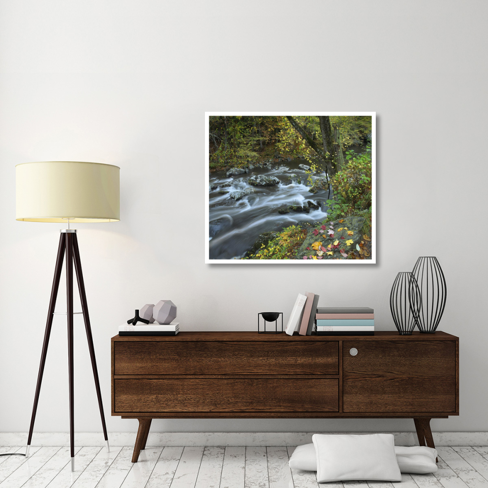Little River, Great Smoky Mountains National Park, Tennessee-Paper Art-42&quotx37.2"