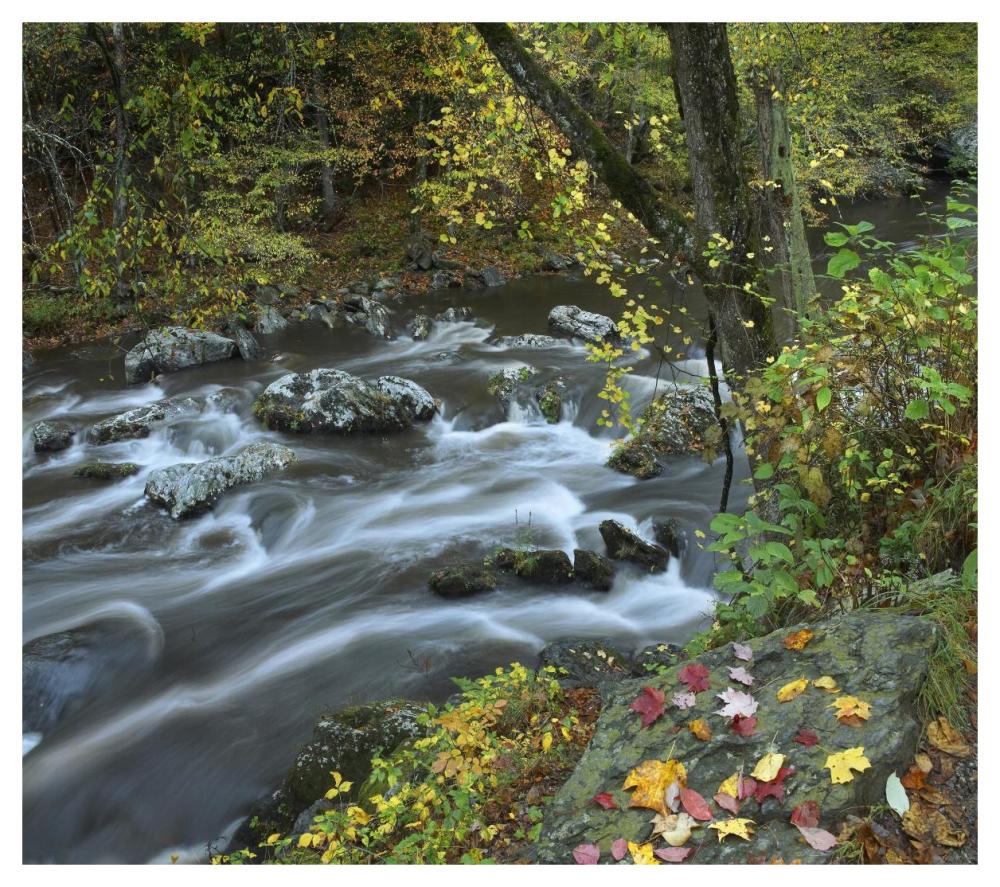 Little River, Great Smoky Mountains National Park, Tennessee-Paper Art-46"x40.72"