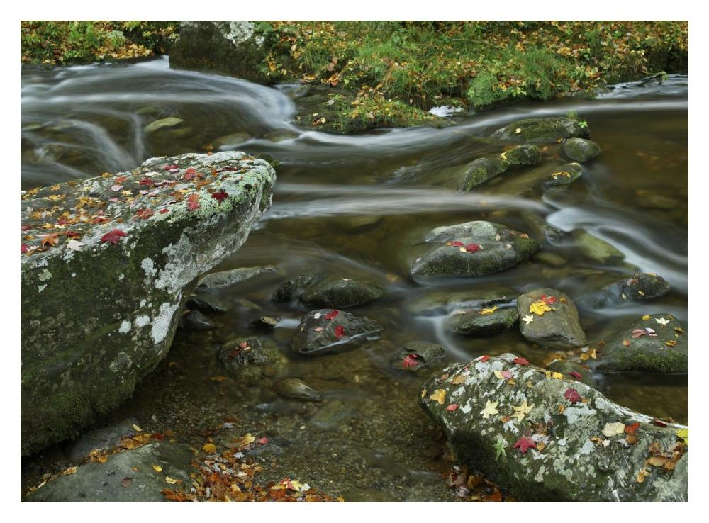 Laurel Creek, Great Smoky Mountains National Park, Tennessee-Paper Art-18"x14"