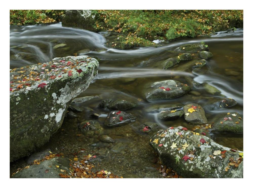 Laurel Creek, Great Smoky Mountains National Park, Tennessee-Paper Art-26"x20"