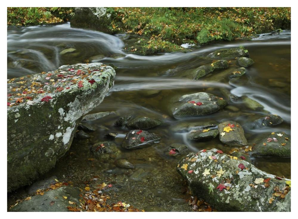 Laurel Creek, Great Smoky Mountains National Park, Tennessee-Paper Art-42"x32"