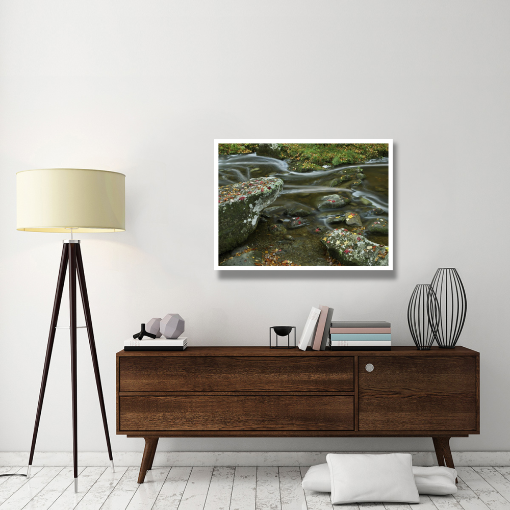 Laurel Creek, Great Smoky Mountains National Park, Tennessee-Paper Art-42&quotx32"
