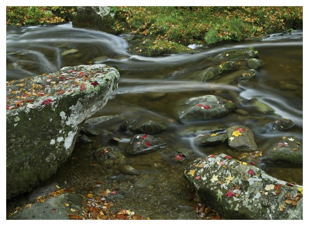 Laurel Creek, Great Smoky Mountains National Park, Tennessee-Paper Art-50"x38"