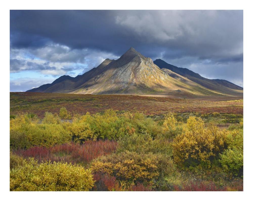 Ogilvie Mountains, Tombstone Territorial Park, Yukon, Canada-Paper Art-26"x20"