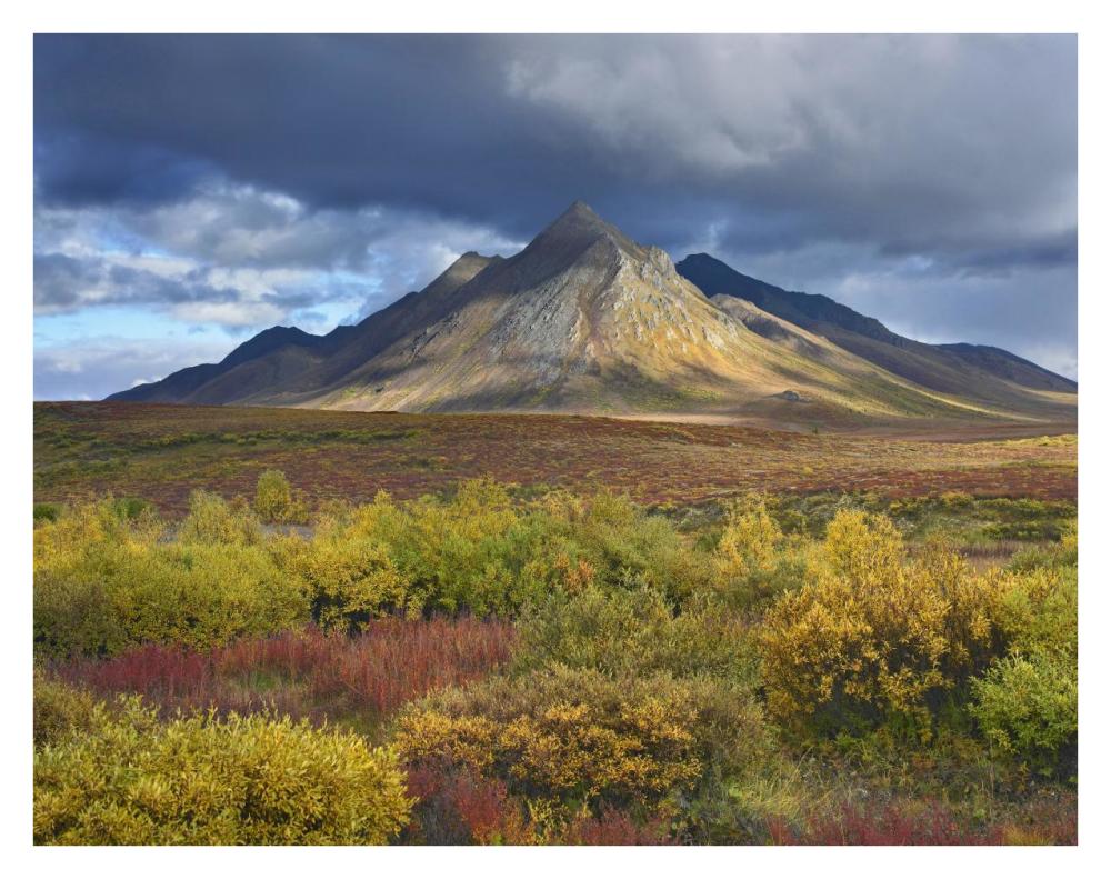 Ogilvie Mountains, Tombstone Territorial Park, Yukon, Canada-Paper Art-34"x26"
