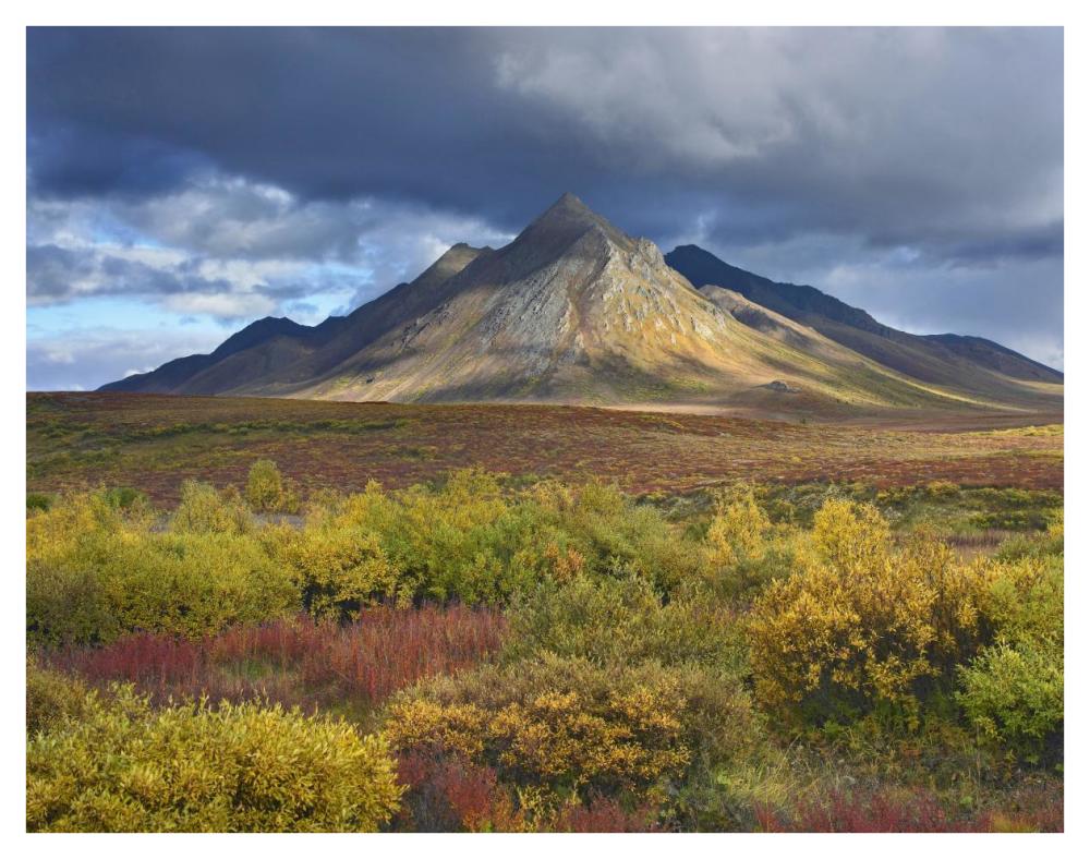 Ogilvie Mountains, Tombstone Territorial Park, Yukon, Canada-Paper Art-42"x32"