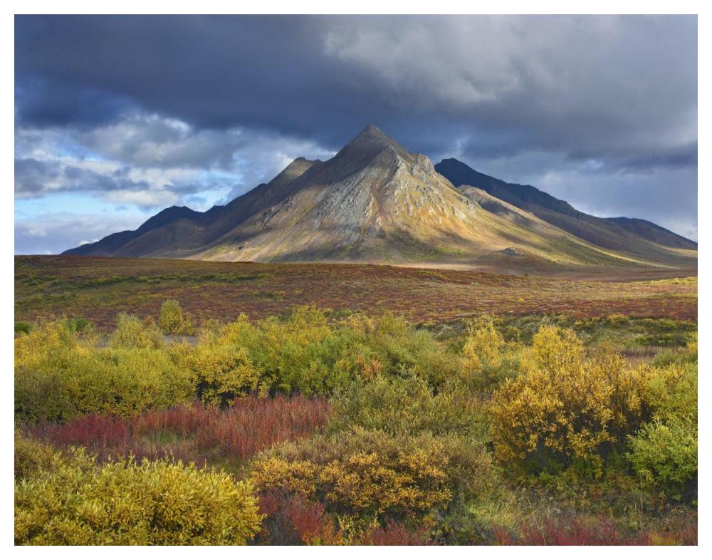 Ogilvie Mountains, Tombstone Territorial Park, Yukon, Canada-Paper Art-50"x38"