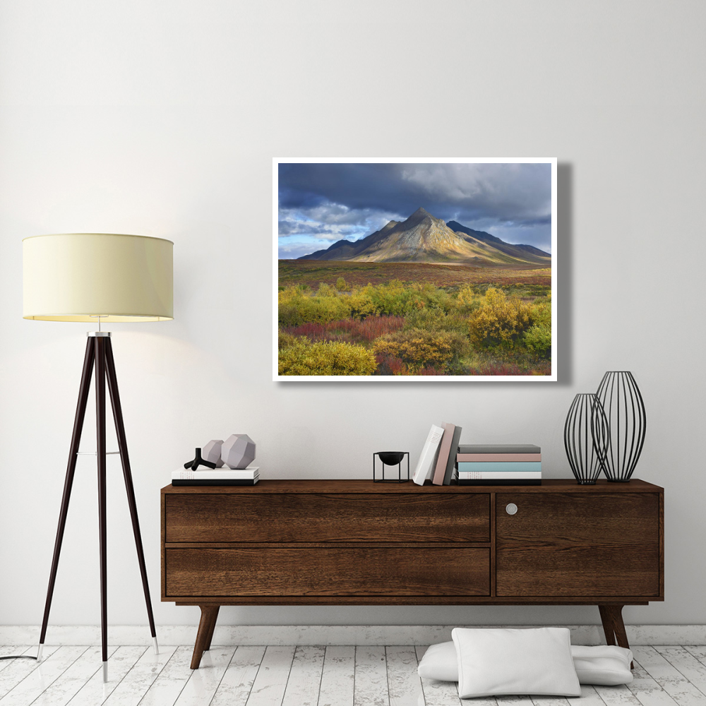 Ogilvie Mountains, Tombstone Territorial Park, Yukon, Canada-Paper Art-50&quotx38"