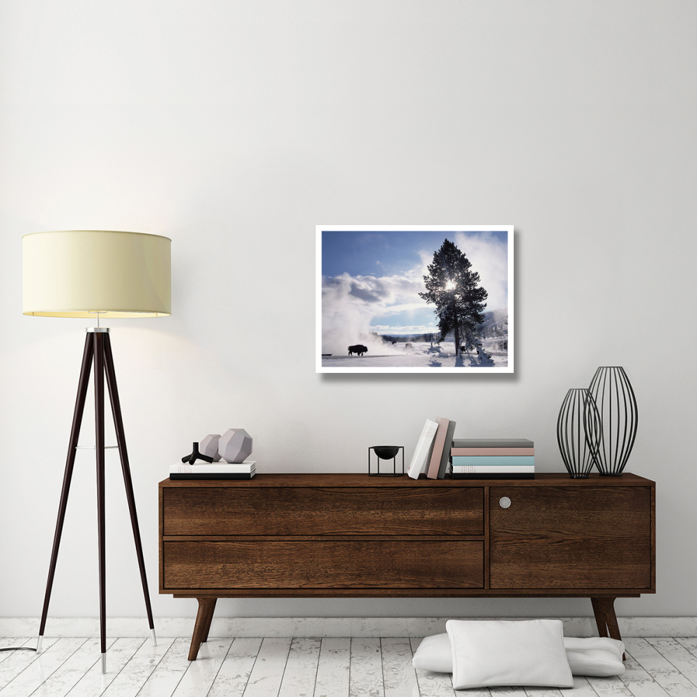 American Bison in winter, Yellowstone National Park, Wyoming-Paper Art-34&quotx26"