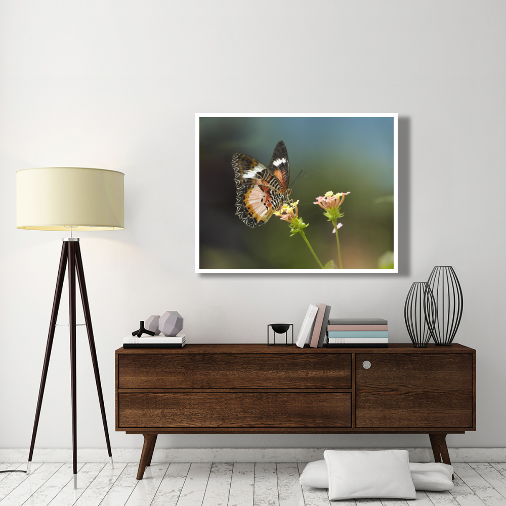 Nymphalid Butterfly feeding on flower nectar, native to Asia-Paper Art-50&quotx38"