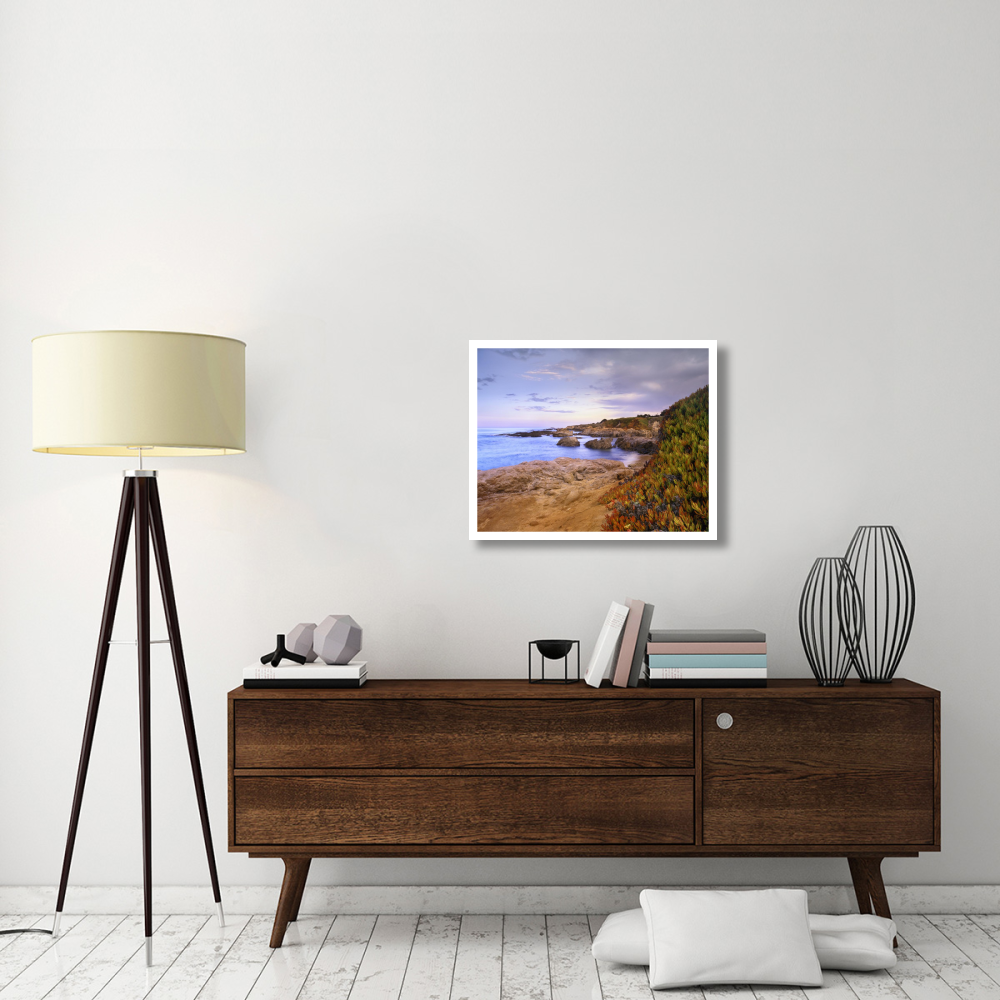 Ice Plant growing on cliffs at Bean Hollow Beach, California-Paper Art-30&quotx24"