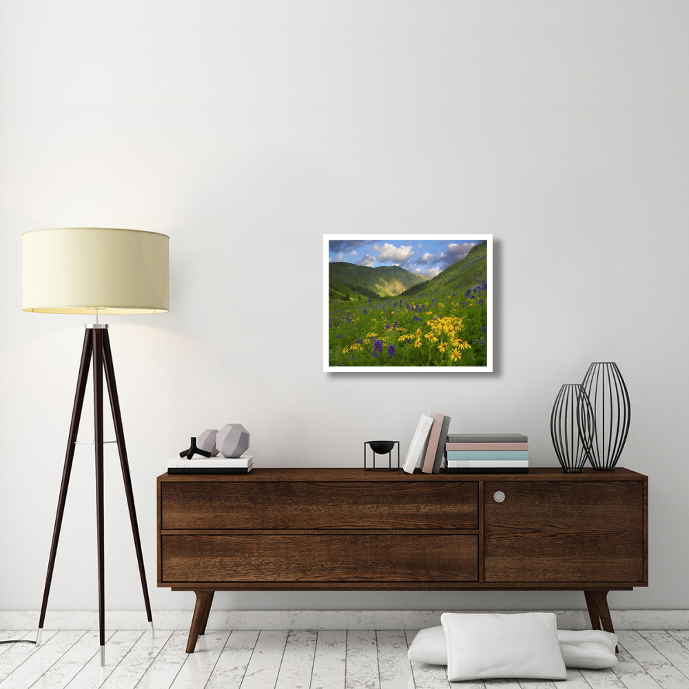 Orange Sneezeweed and Delphinium in American Basin, Colorado-Paper Art-30&quotx24"