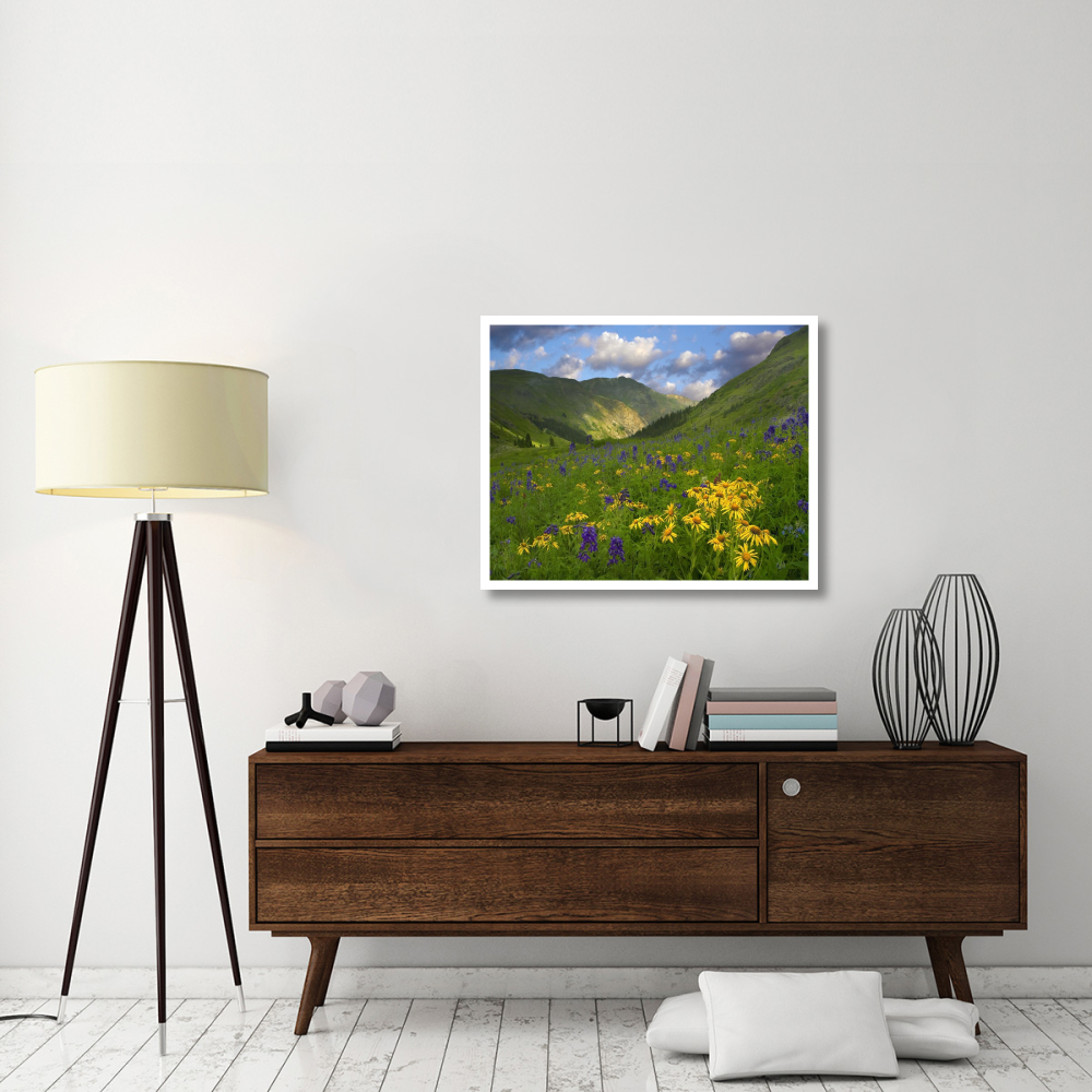 Orange Sneezeweed and Delphinium in American Basin, Colorado-Paper Art-37&quotx30"