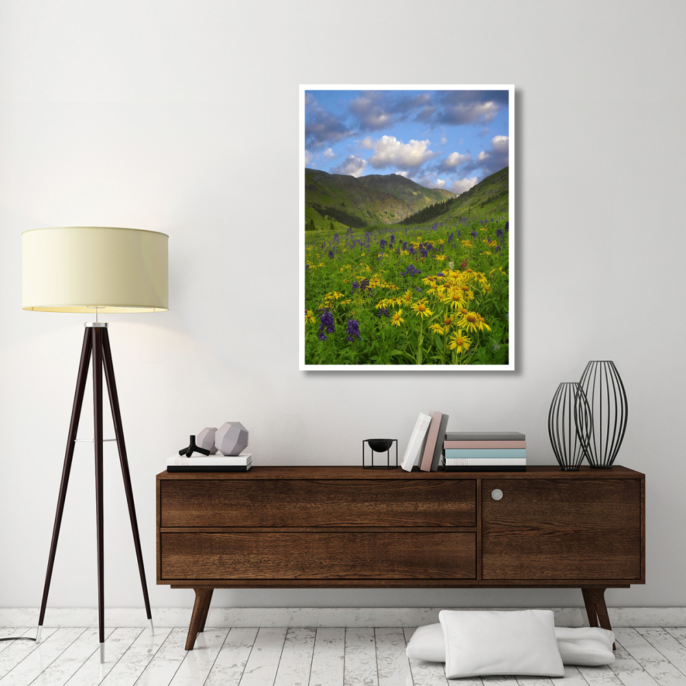 Orange Sneezeweed and Delphinium in American Basin, Colorado-Paper Art-38&quotx50"