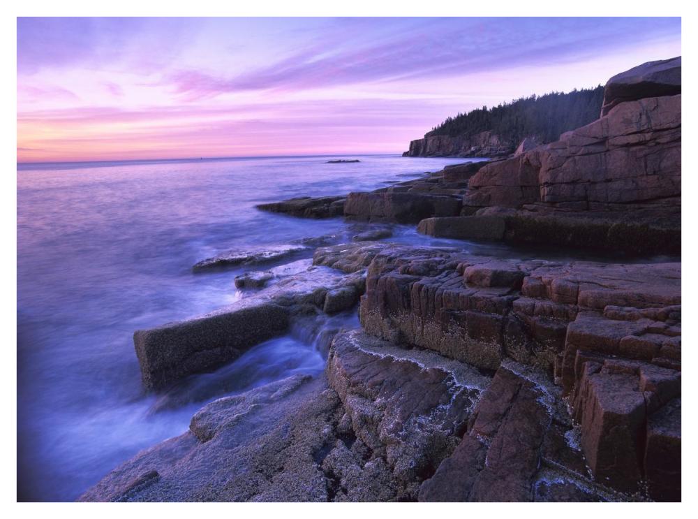 Atlantic coast near Thunder Hole, Acadia National Park, Maine-Paper Art-42"x32"