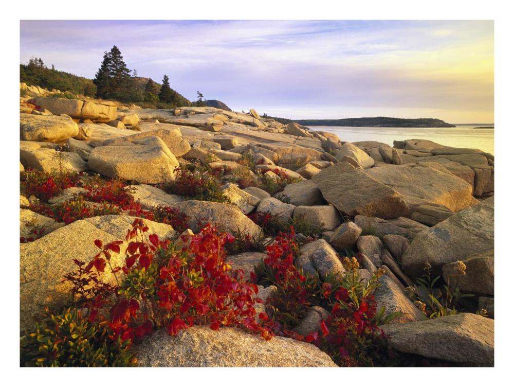 Atlantic coast near Thunder Hole, Acadia National Park, Maine-Paper Art-26"x20"