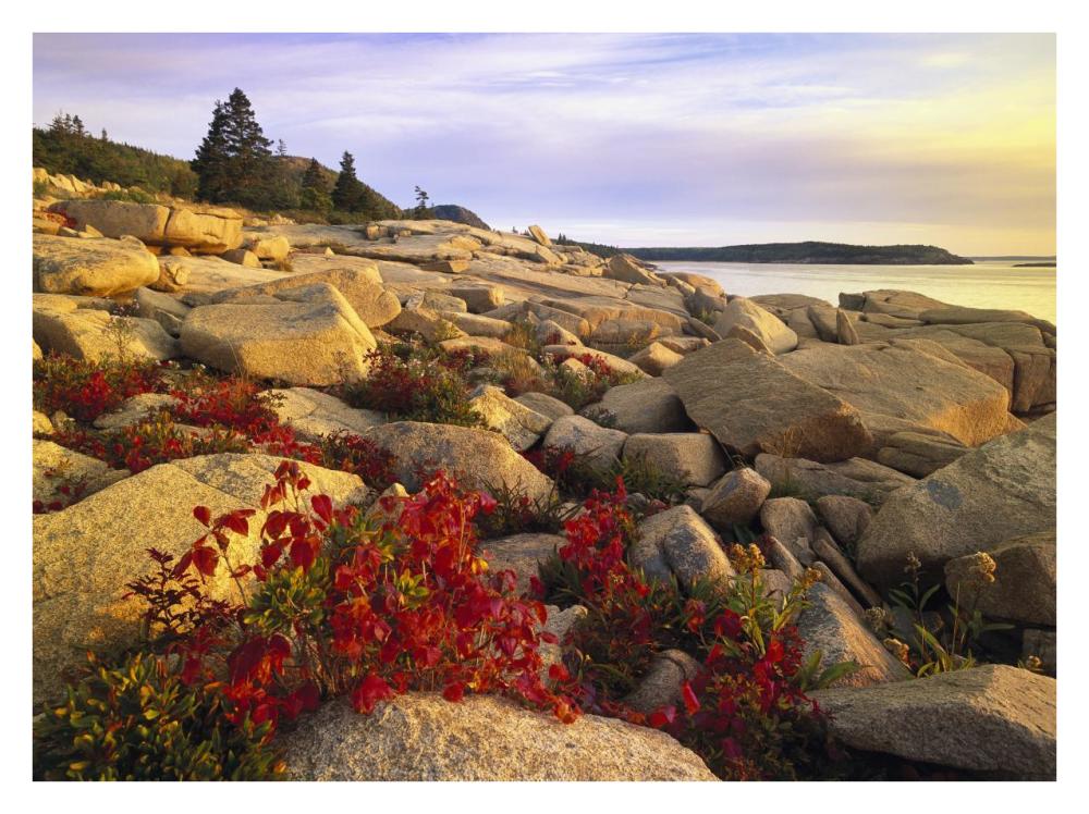 Atlantic coast near Thunder Hole, Acadia National Park, Maine-Paper Art-34"x26"