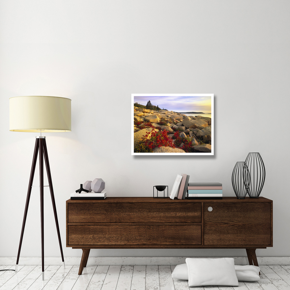 Atlantic coast near Thunder Hole, Acadia National Park, Maine-Paper Art-34&quotx26"