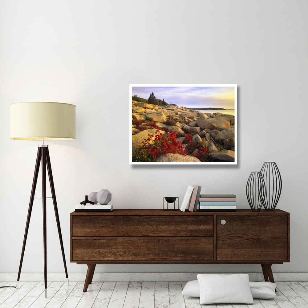 Atlantic coast near Thunder Hole, Acadia National Park, Maine-Paper Art-42&quotx32"