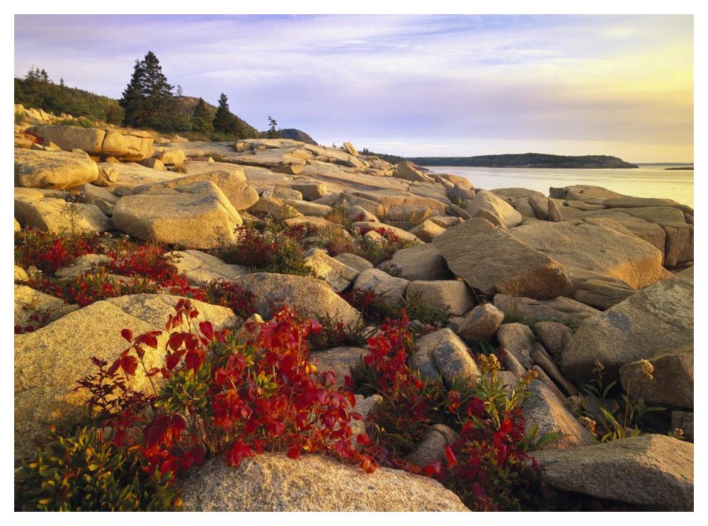 Atlantic coast near Thunder Hole, Acadia National Park, Maine-Paper Art-50"x38"