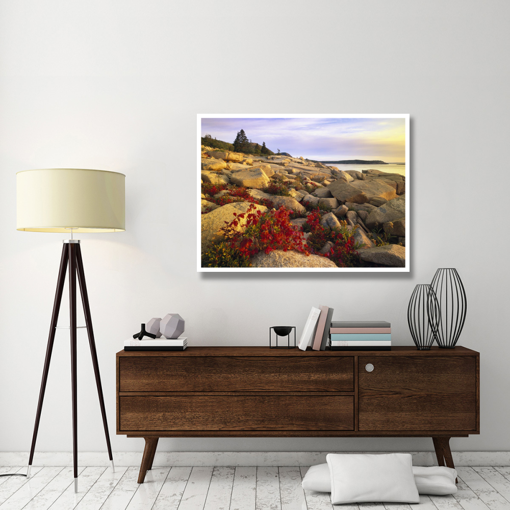Atlantic coast near Thunder Hole, Acadia National Park, Maine-Paper Art-50&quotx38"