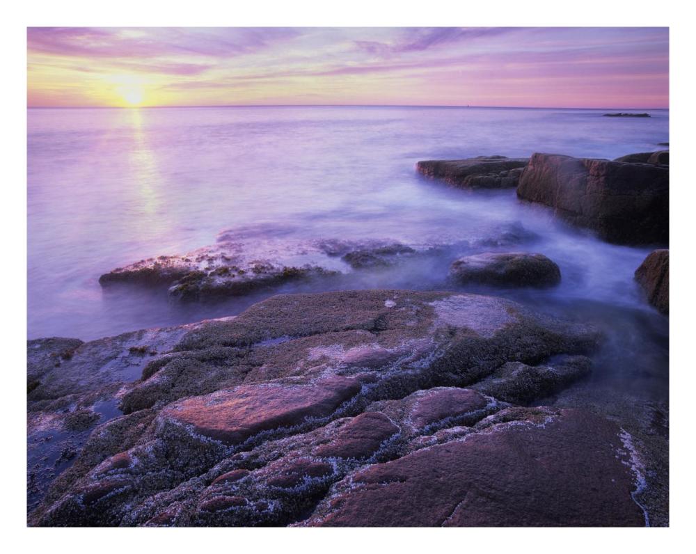Atlantic coast near Thunder Hole, Acadia National Park, Maine-Paper Art-26"x20"
