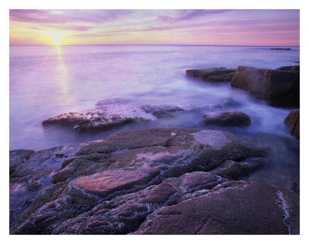 Atlantic coast near Thunder Hole, Acadia National Park, Maine-Paper Art-34"x26"