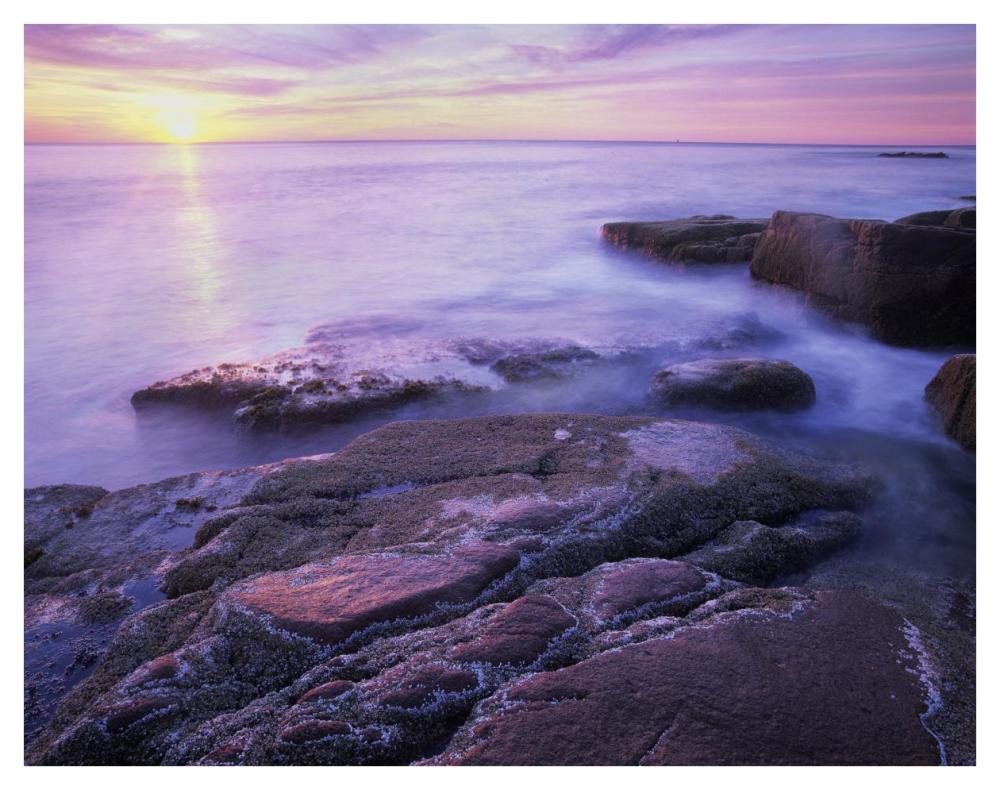 Atlantic coast near Thunder Hole, Acadia National Park, Maine-Paper Art-42"x32"