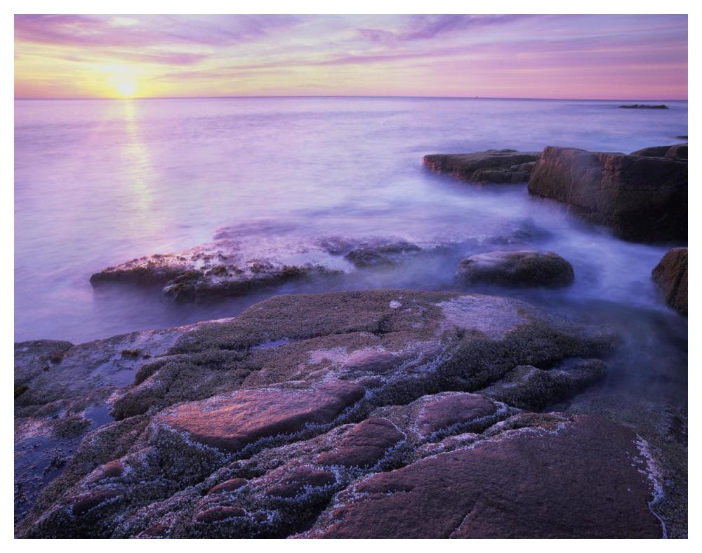 Atlantic coast near Thunder Hole, Acadia National Park, Maine-Paper Art-50"x38"