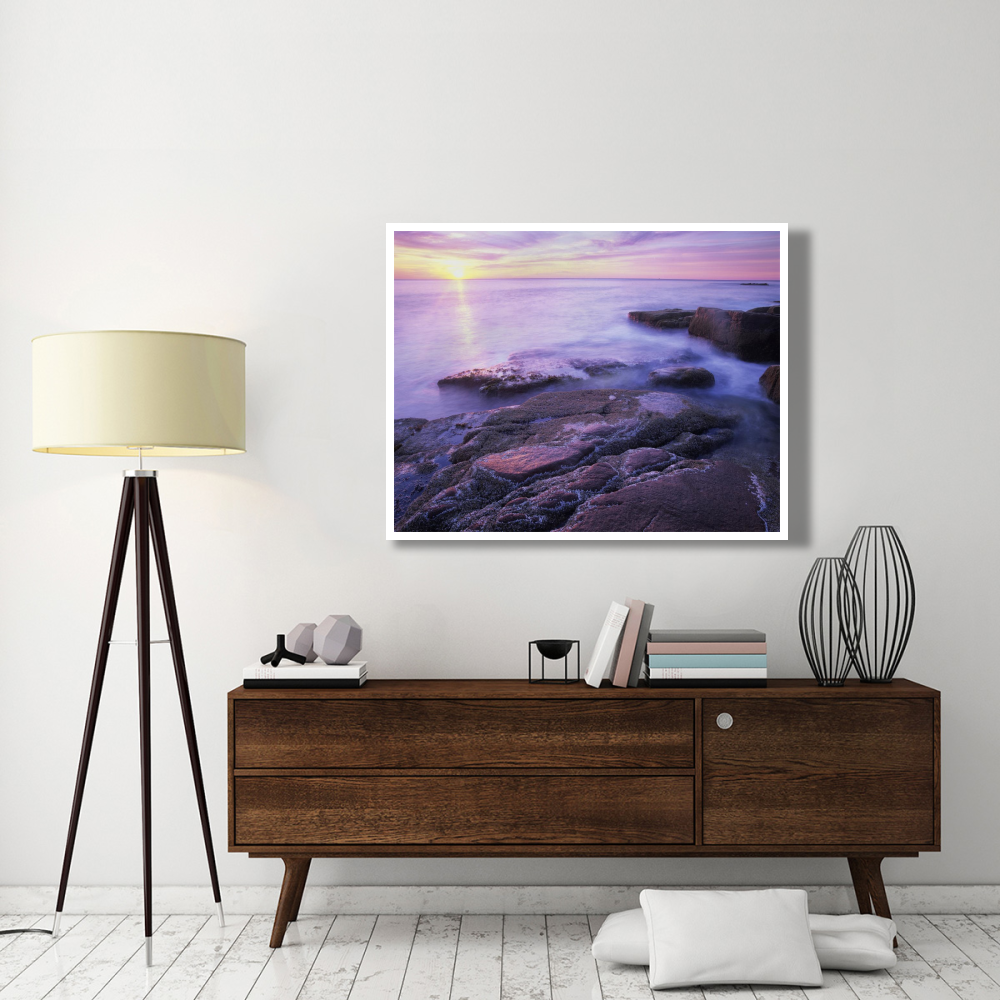 Atlantic coast near Thunder Hole, Acadia National Park, Maine-Paper Art-50&quotx38"
