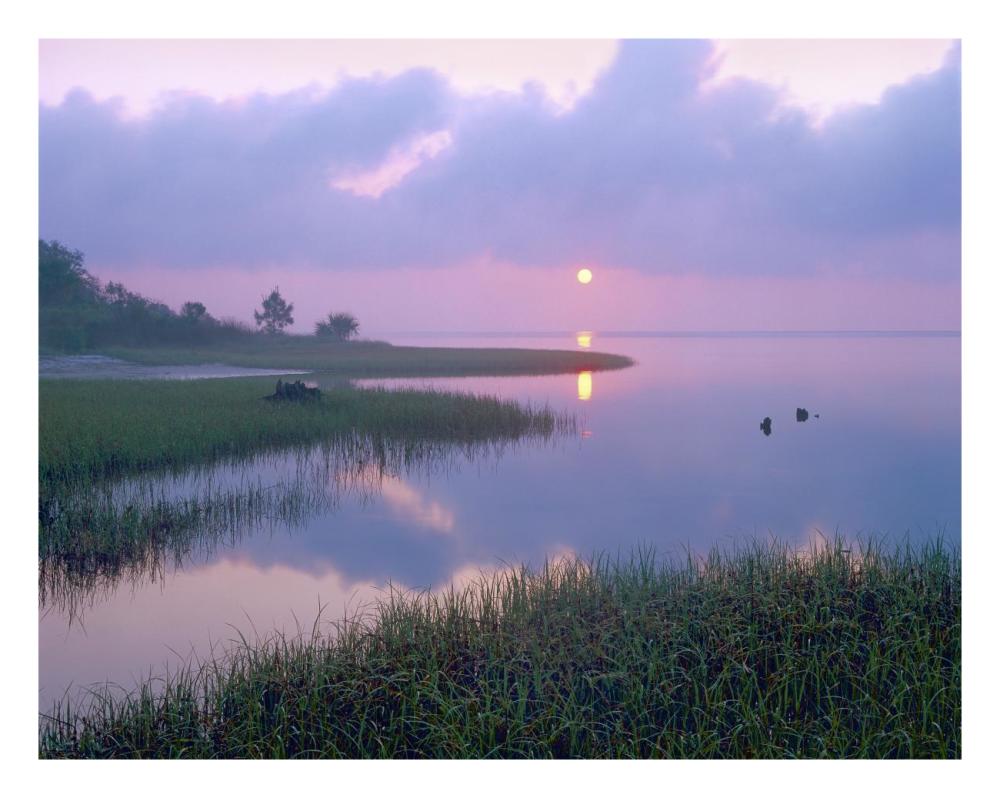 Marsh at sunrise over Eagle Bay, St Joseph Peninsula, Florida-Paper Art-26"x20"