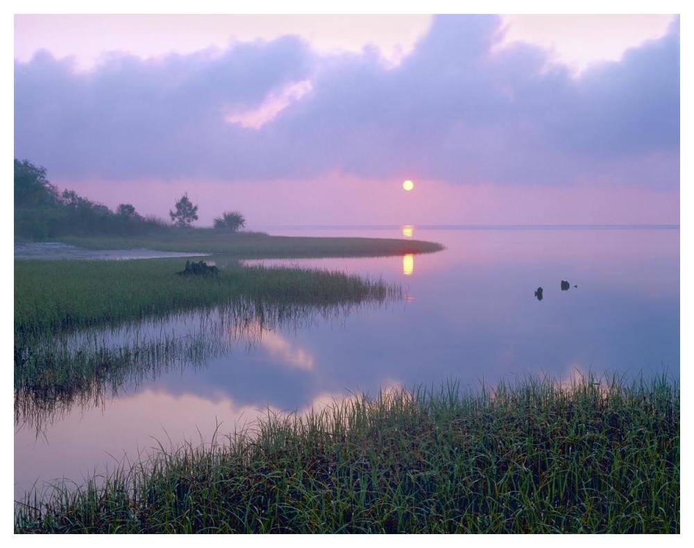 Marsh at sunrise over Eagle Bay, St Joseph Peninsula, Florida-Paper Art-50"x38"