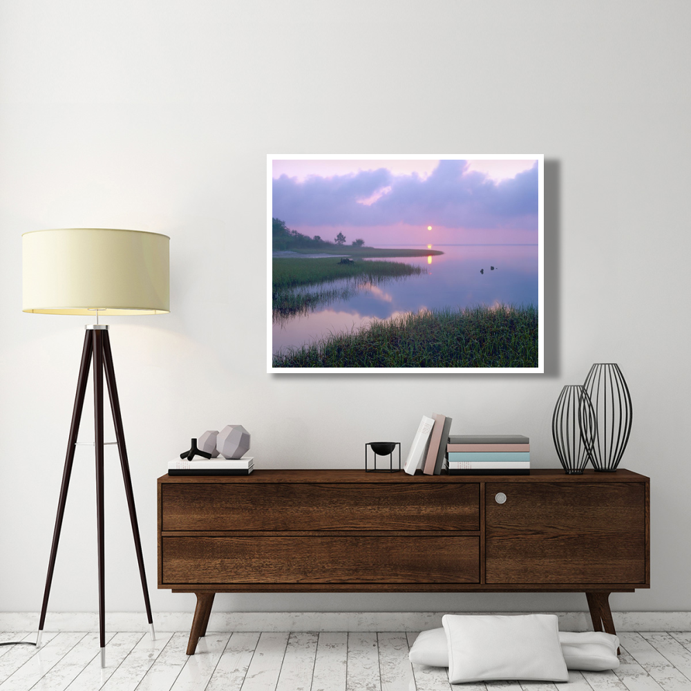 Marsh at sunrise over Eagle Bay, St Joseph Peninsula, Florida-Paper Art-50&quotx38"