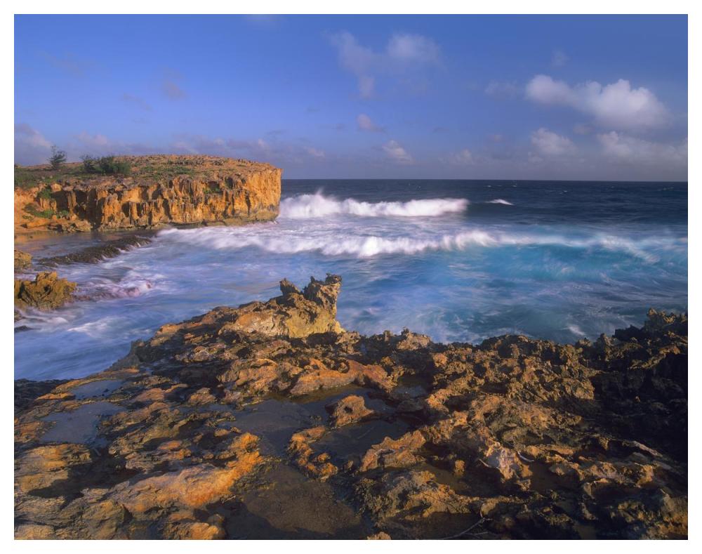 Pacific Ocean waves and cliffs at Keoneloa Bay, Kauai, Hawaii-Paper Art-50"x38"