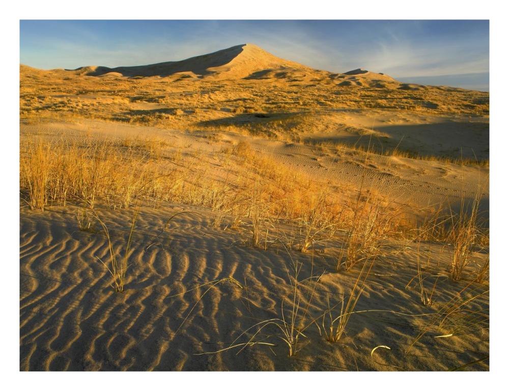 Kelso Dunes and grasses, Mojave National Preserve, California-Paper Art-26"x20"