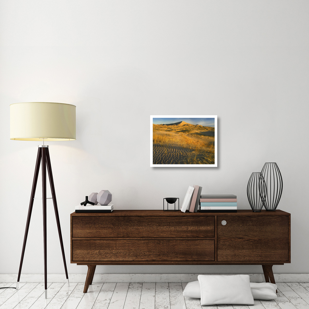 Kelso Dunes and grasses, Mojave National Preserve, California-Paper Art-26&quotx20"