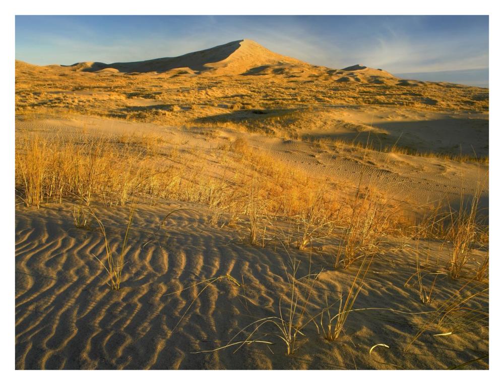 Kelso Dunes and grasses, Mojave National Preserve, California-Paper Art-34"x26"