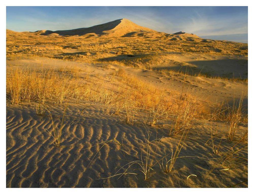Kelso Dunes and grasses, Mojave National Preserve, California-Paper Art-42"x32"