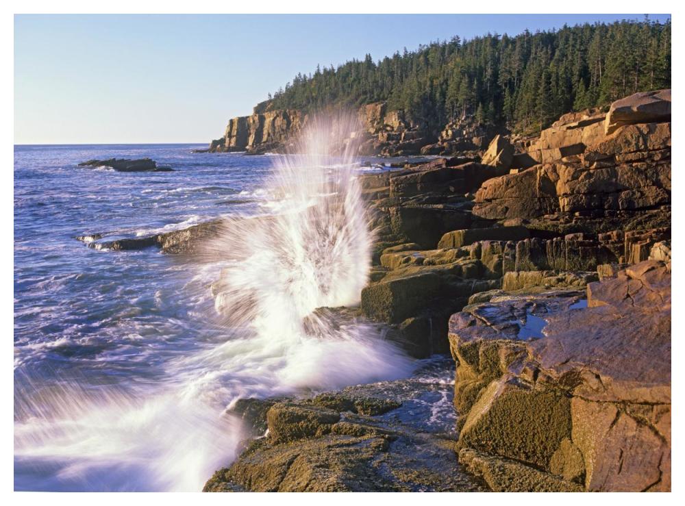 Atlantic Coast near Thunder Hole, Acadia National Park, Maine-Paper Art-50"x38"