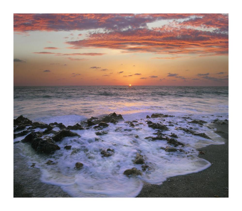 Coast at sunset, Blowing Rocks Beach, Jupiter Island, Florida-Paper Art-18"x15.76"