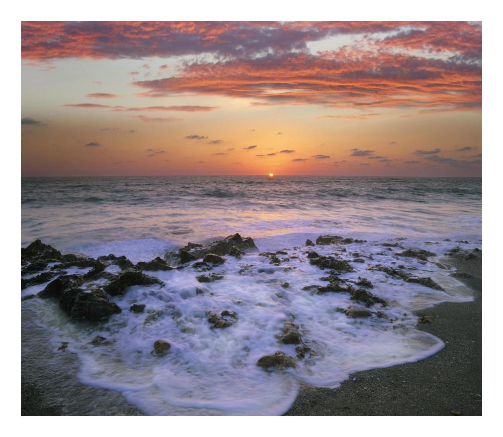 Coast at sunset, Blowing Rocks Beach, Jupiter Island, Florida-Paper Art-24"x20.92"