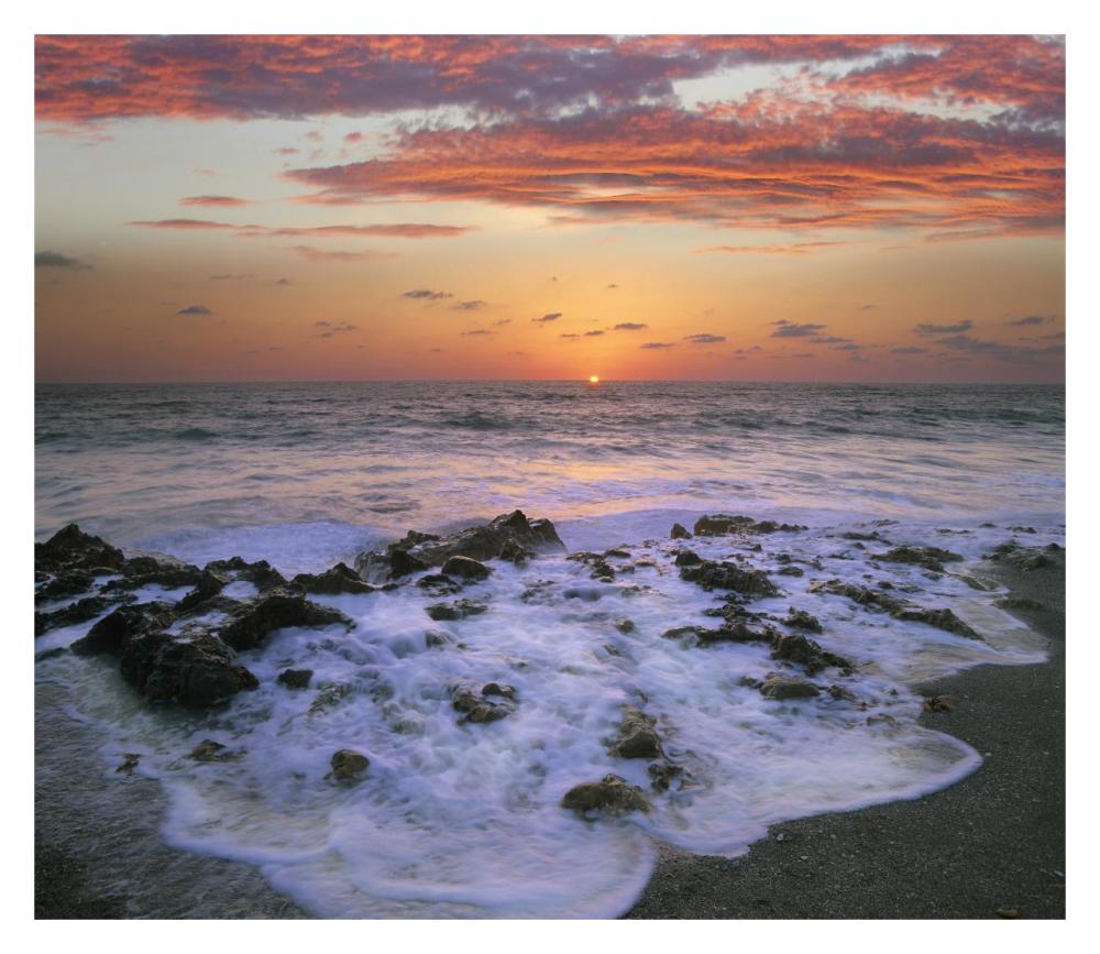 Coast at sunset, Blowing Rocks Beach, Jupiter Island, Florida-Paper Art-32"x27.8"